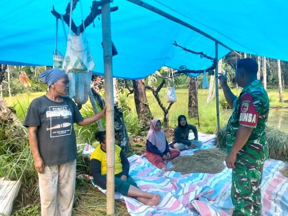 Babinsa Koramil 03/Suliki Laksanakan Komsos untuk Perkuat Silaturahmi dan Pangan