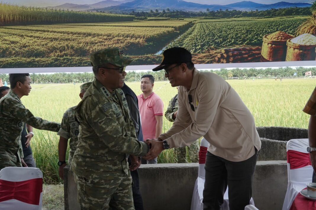 Panen Raya Padi Nagan Raya Jadi Bukti Keberhasilan Sinergi TNI, Pemerintah dan Petani
