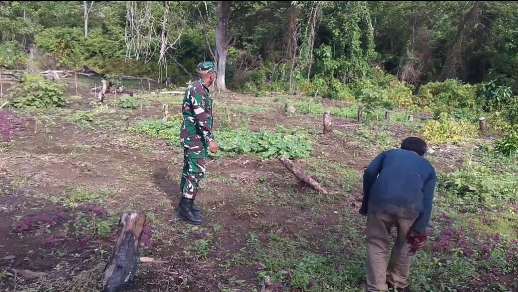 Babinsa Koramil 01/Jaya Gencarkan Sosialisasi Cegah Karhutla, Ajak Warga Stop Buka Lahan dengan Membakar