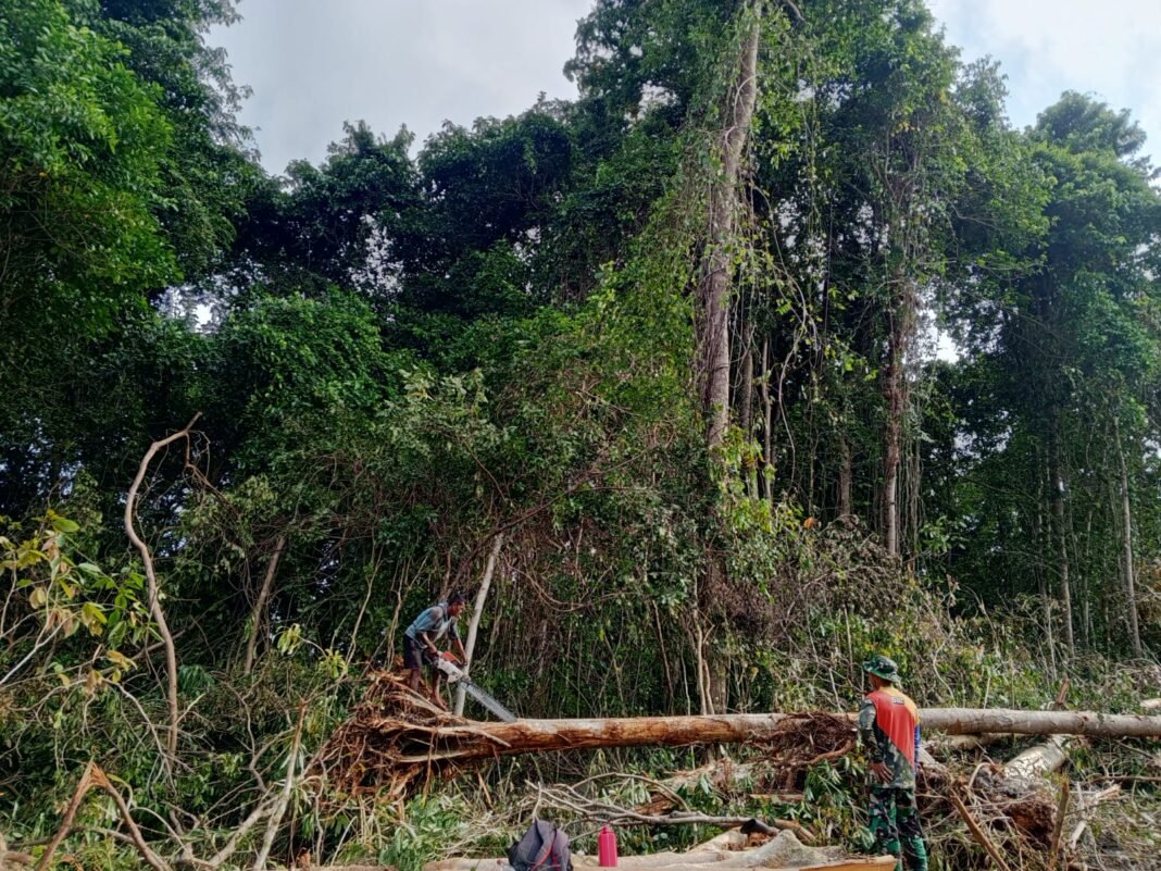 Kerja Bareng Satgas TMMD dan Masyarakat dalam Renovasi RTLH