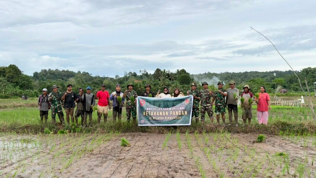 Komitmen Satgas TMMD Ke-129 Kodim 0911/Nunukan untuk Pemajuan Pertanian di Desa Binusan