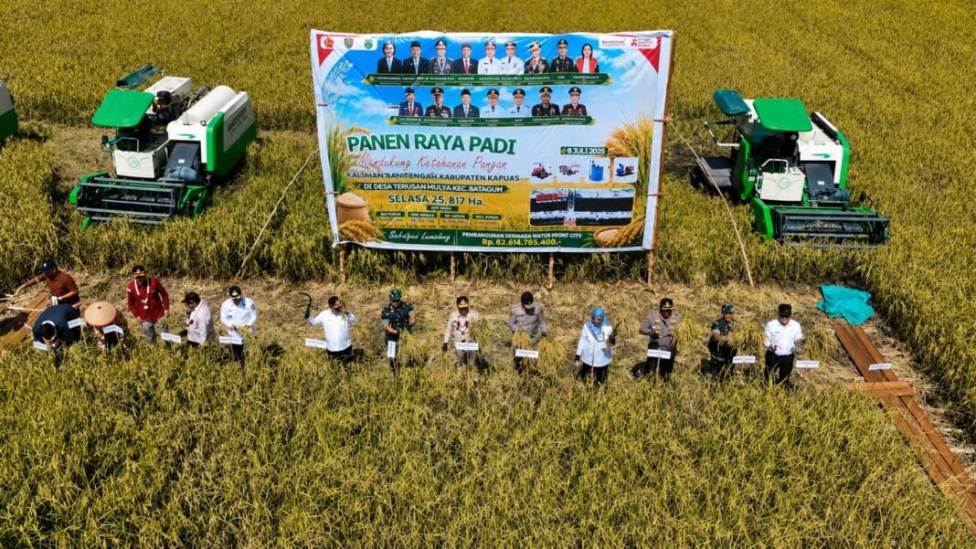 Sinergi dalam Panen Raya Padi Menuju Ketahanan Pangan