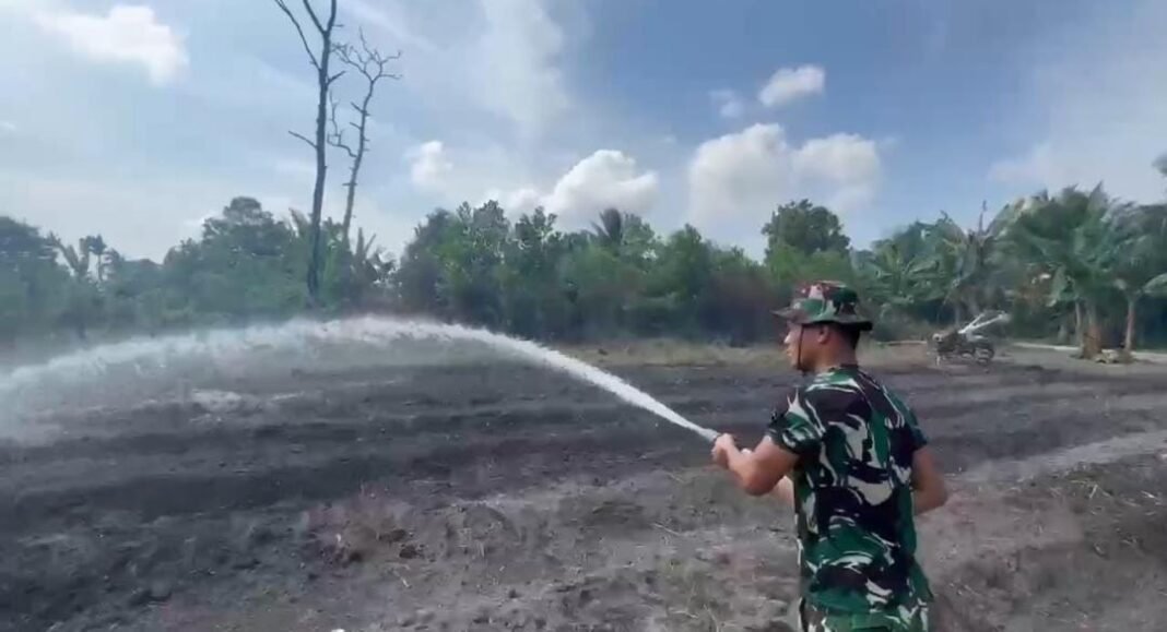 Kegiatan Penanaman Kangkung oleh Satgas TMMD Ke-129 di Desa Deniang