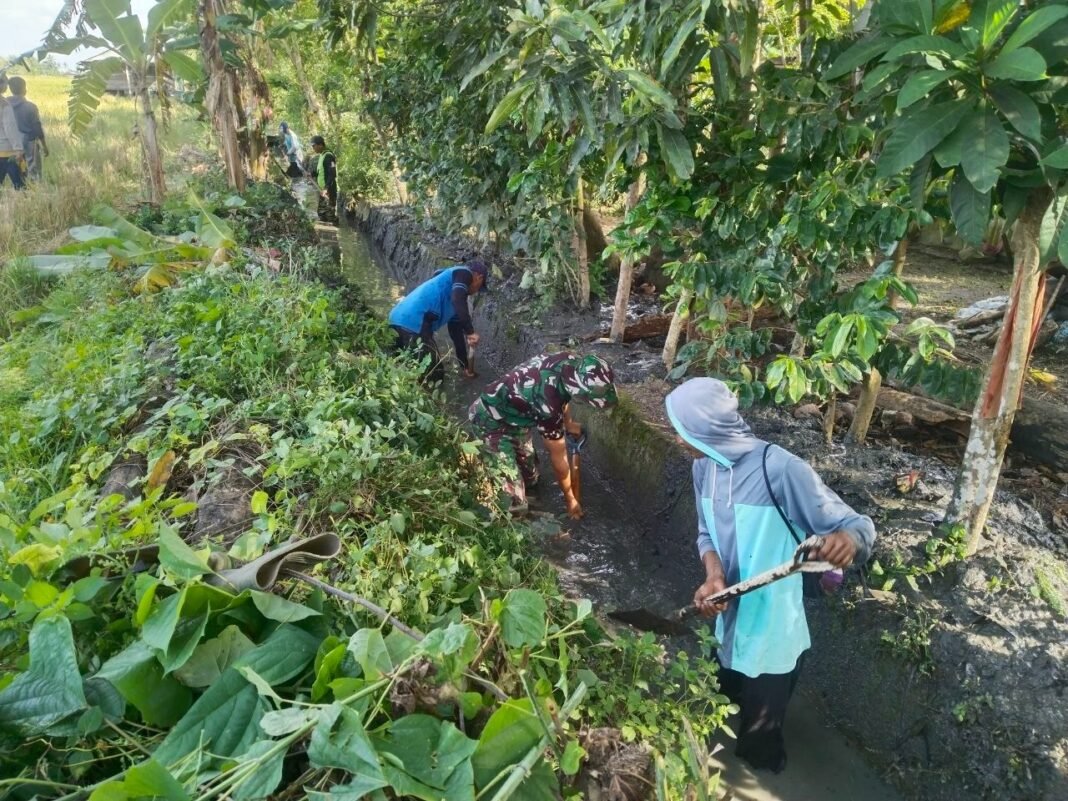 Cegah Banjir dan Sarang Nyamuk, Babinsa Koramil 1420-06 Bersama Warga Timoreng Panua Gelar Karya Bakti Bersihkan Drainase