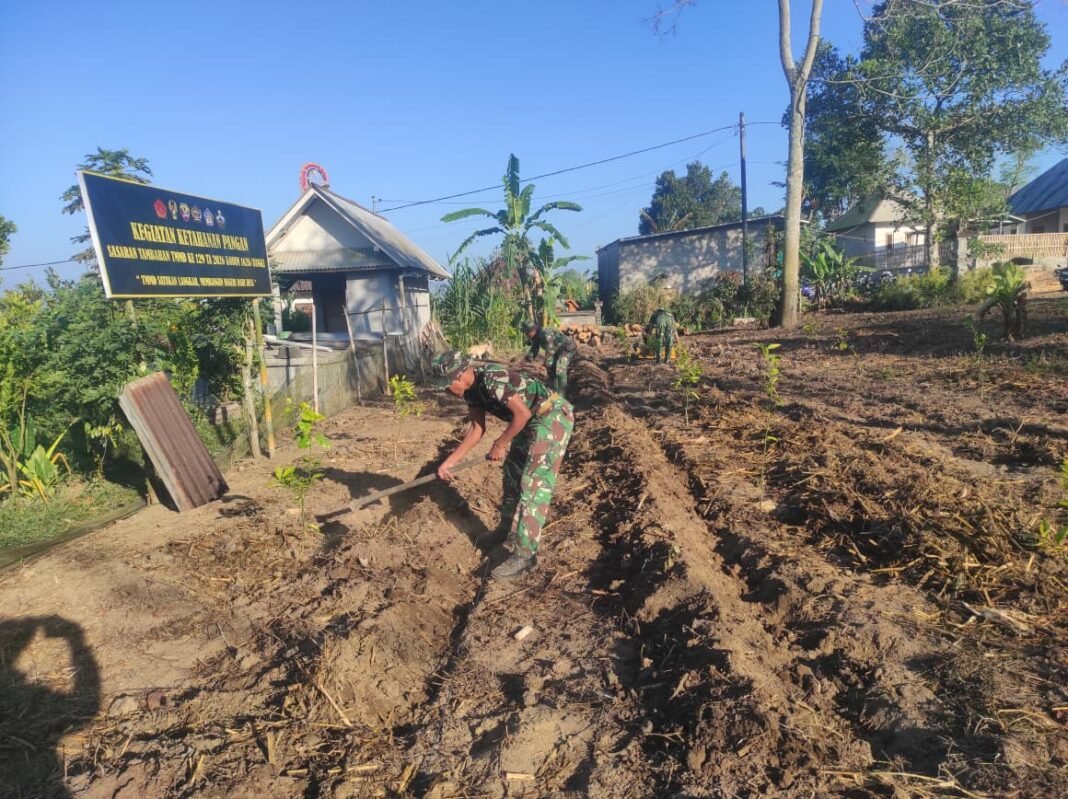 Aktivitas Warga dan Satgas TMMD dalam Pengolahan Lahan Pakcoy Sekardadi