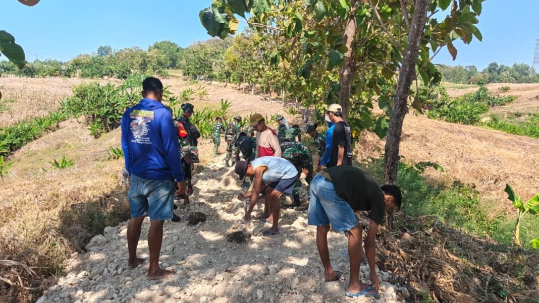 TMMD 129: Membangun Jalan Usaha Tani dengan Semangat Gotong Royong