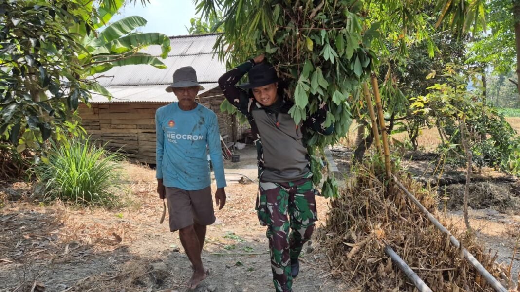 Wujud Kepedulian TNI dalam TMMD Ke-129 kepada Mbah Sugio