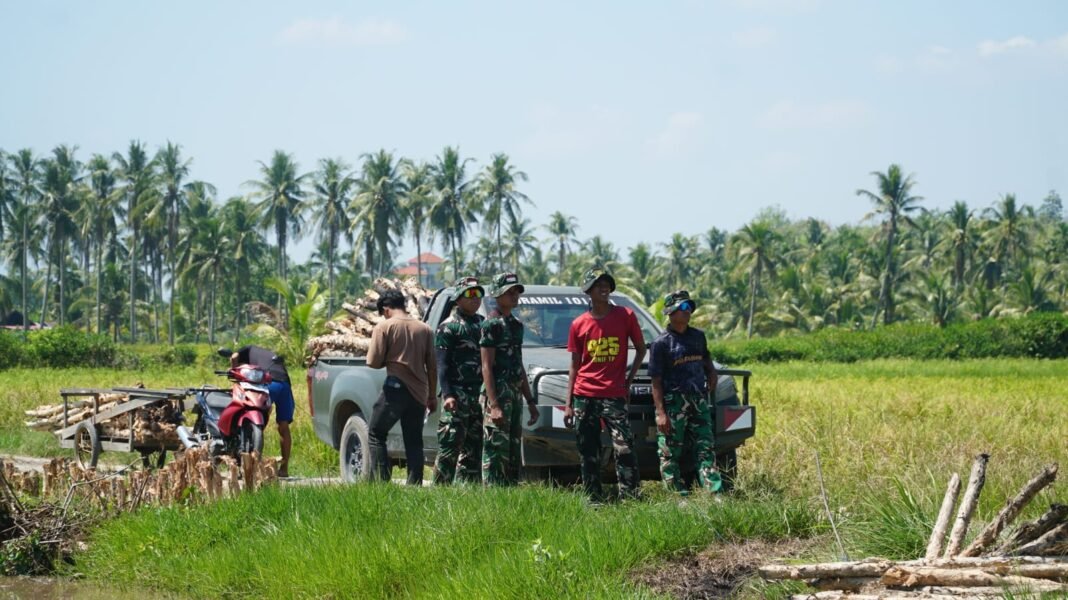 Satgas TMMD Ke-129 Mempercepat Pembangunan Jalan di Kapuas