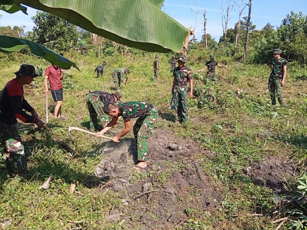 Sinergi TNI dan Warga Bangka, Satgas TMMD ke-129 Sulap Lahan Tidur Jadi Area Pertanian Produktif