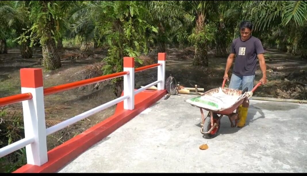 Pembangunan Jembatan Beton Desa Lanona Selesai, Harapan Warga Terwujud