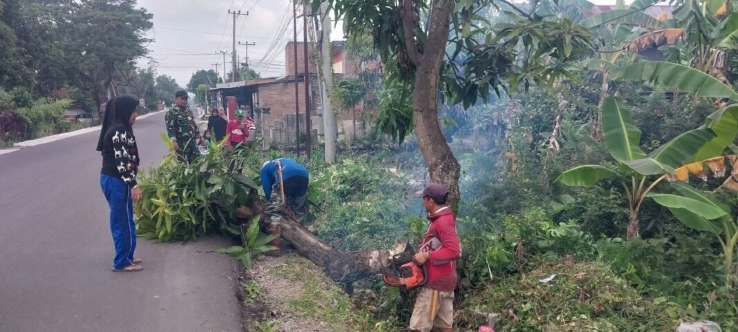 Gotong Royong Masyarakat dan TNI dalam Membersihkan Lingkungan di Sidrap