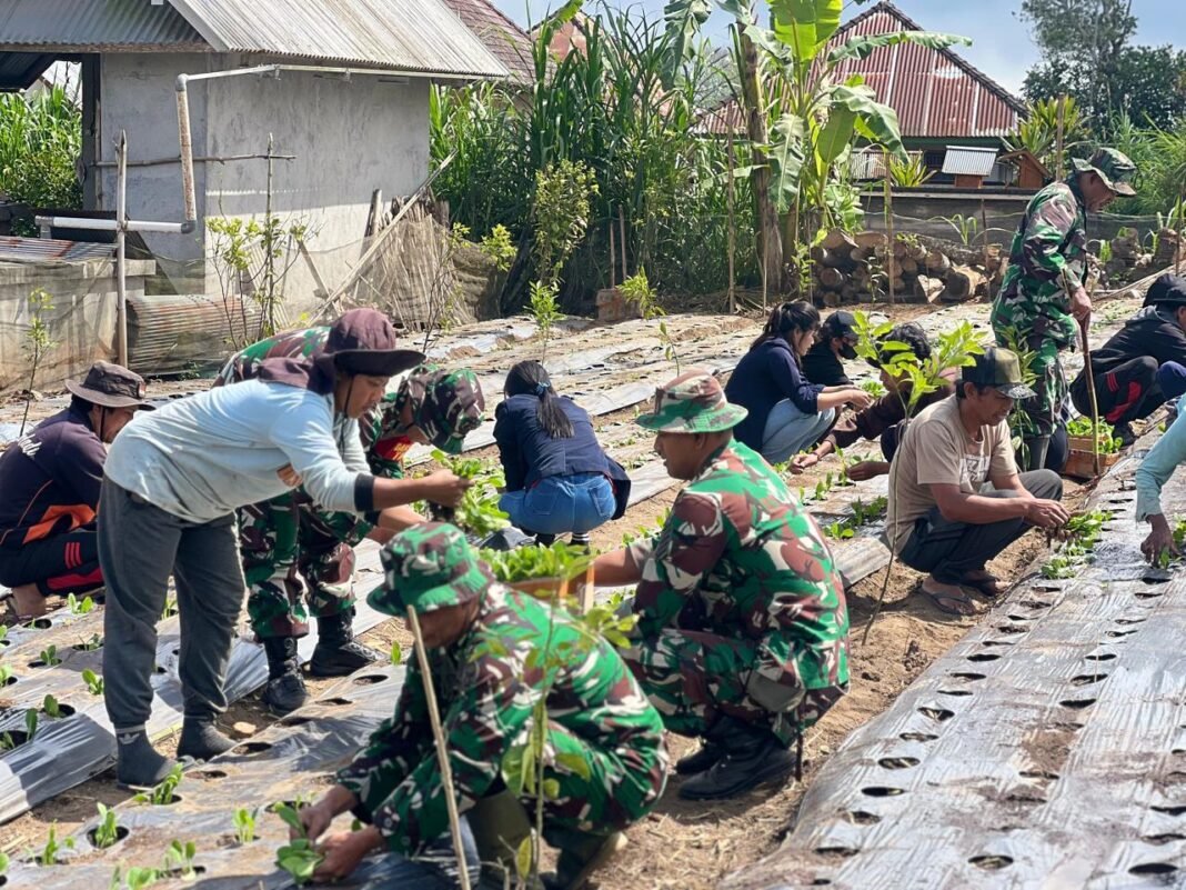 Inspeksi Program Ketahanan Pangan oleh Dansatgas TMMD Ke-129 di Desa Sekardadi