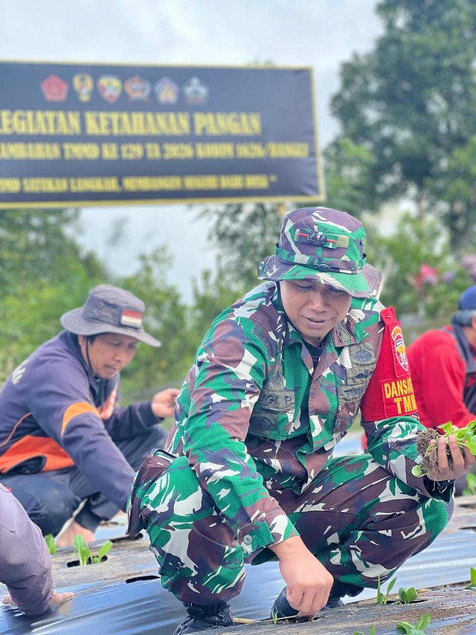 Satgas TMMD Ke-129 Berharap Dukungan Masyarakat untuk Program Pakcoy