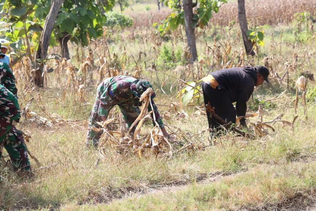 Gotong Royong Satgas TMMD dan Warga Hidupkan Harapan Air Bersih di Dusun Bakon
