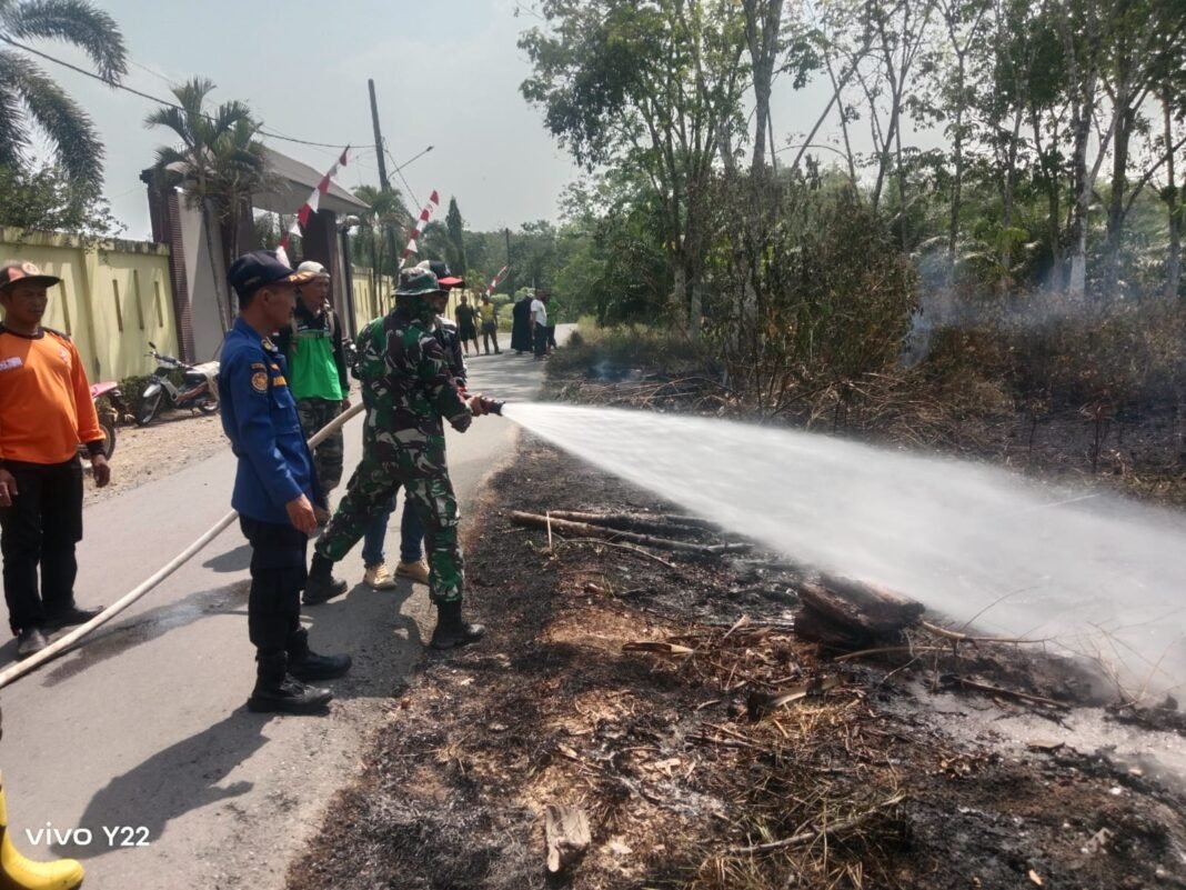 TNI-Polri dan BPBD Sinergi Padamkan Karhutla Seluas 0,5 Hektare di Tapin
