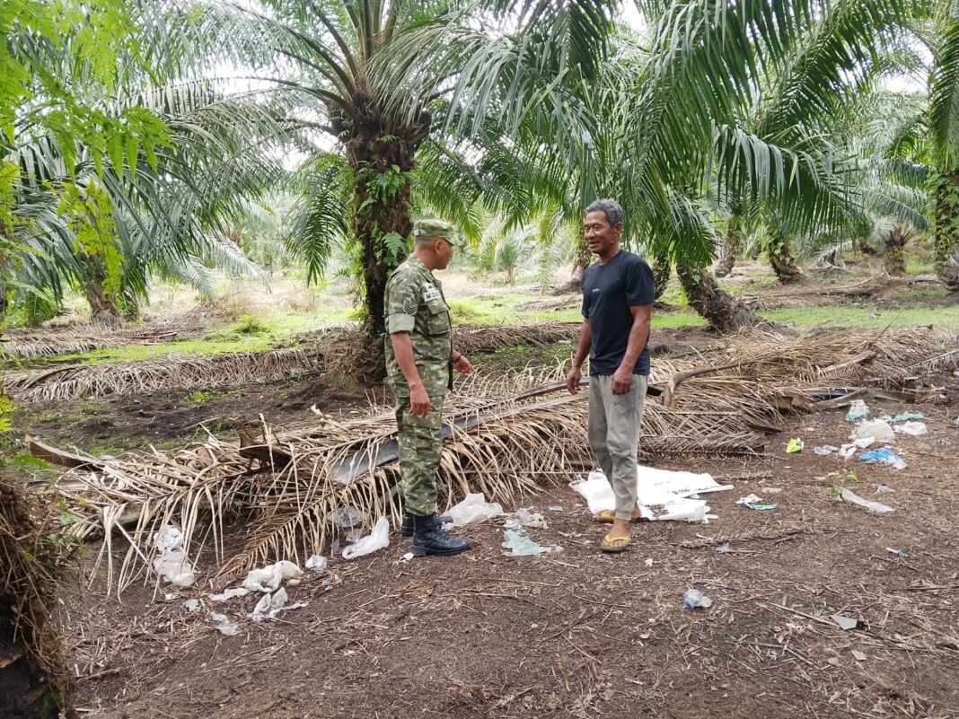 Babinsa Koramil 06/Teunom Patroli Karhutla, Ingatkan Warga Hindari Pembakaran Hutan