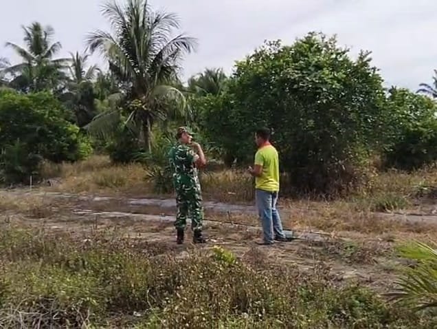 Babinsa Koramil 05/Panga Tingkatkan Pencegahan Karhutla melalui Patroli dan Sosialisasi di Aceh Jaya