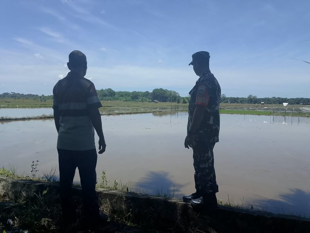 Babinsa Koramil 05/Panga Dampingi Poktan Cot Mane Siapkan Lahan untuk Tanam Padi