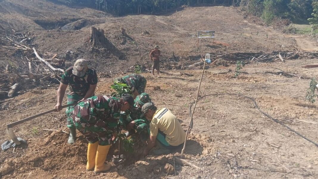 Upaya Penghijauan dengan Penanaman Alpukat oleh TMMD ke-129 di Bone
