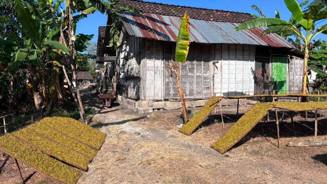 Persiapan Pembangunan RTLH oleh Satgas TMMD untuk Ibu Jasmiati