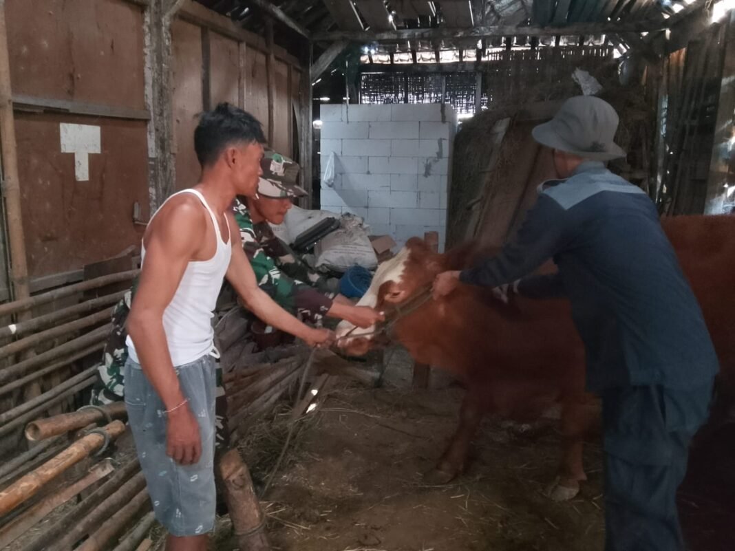Fokus Kesehatan Hewan di Program TMMD Ke-129 Kodim 0813/Bojonegoro