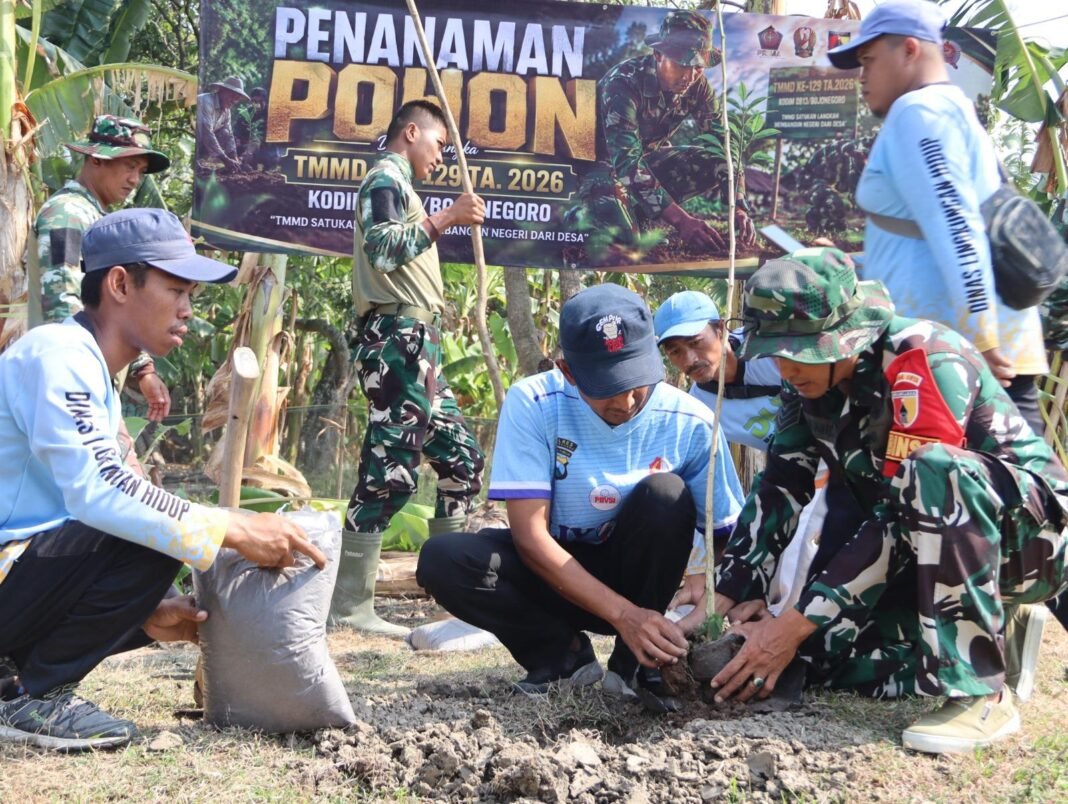 Program TMMD 129 di Bojonegoro: Membangun Desa yang Sejuk melalui Penanaman Pohon