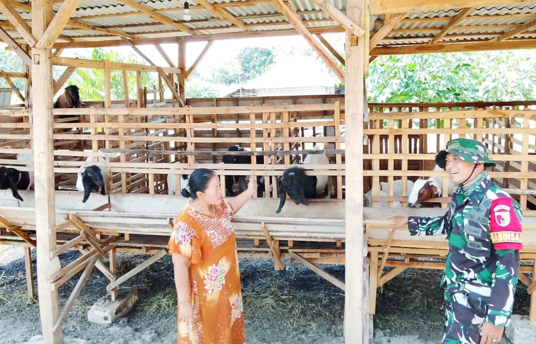 TMMD 129 Bojonegoro: Sinergi antara TNI dan Warga Ternak
