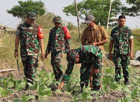 TMMD 129 Bojonegoro: Solusi bagi Petani Tembakau di Kesongo