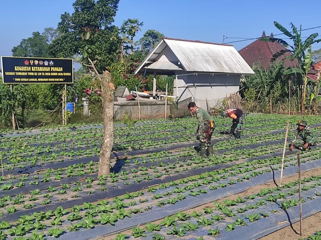 Peran Satgas TMMD dalam Memperkuat Ketahanan Pangan Desa