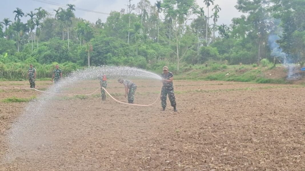 Dedikasi Satgas TMMD Kodim 0102/Pidie dalam Memperkuat Ketahanan Pangan