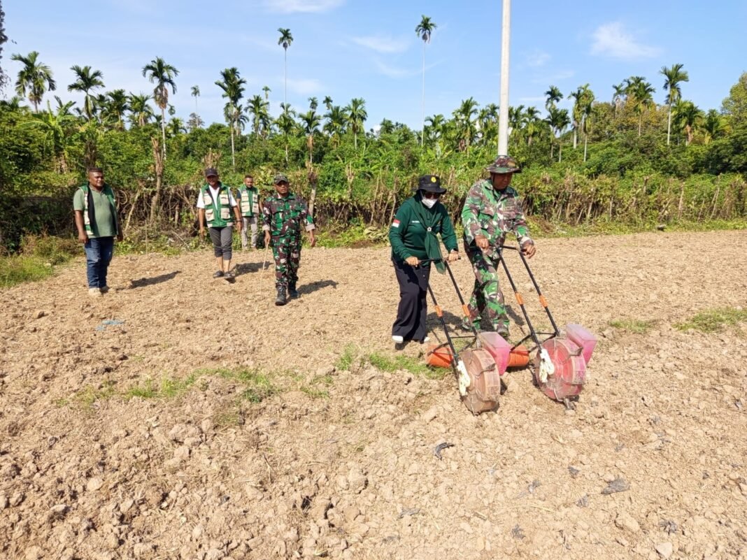 Gandeng PPL, Satgas TMMD Ke-129 Kodim 0102/Pidie Edukasi Warga Tanam Jagung di Lahan Ketahanan Pangan