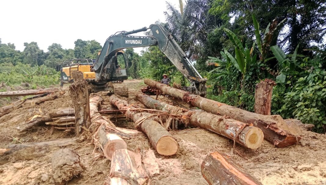 Kualitas Membangun, Satgas TMMD Kodim 1206/Putussibau Tingkatkan Proyek Jembatan