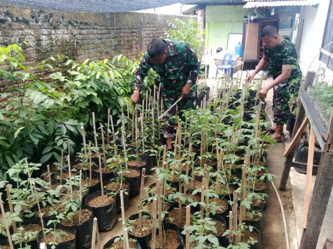 TMMD Ke-129 Kodim 0102/Pidie Hadirkan Demplot Sayuran untuk Pemberdayaan Masyarakat