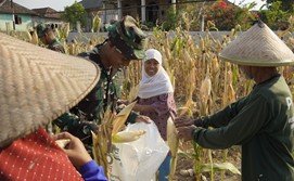 Sinergi Antara TNI dan Petani dalam Program TMMD di Bojonegoro