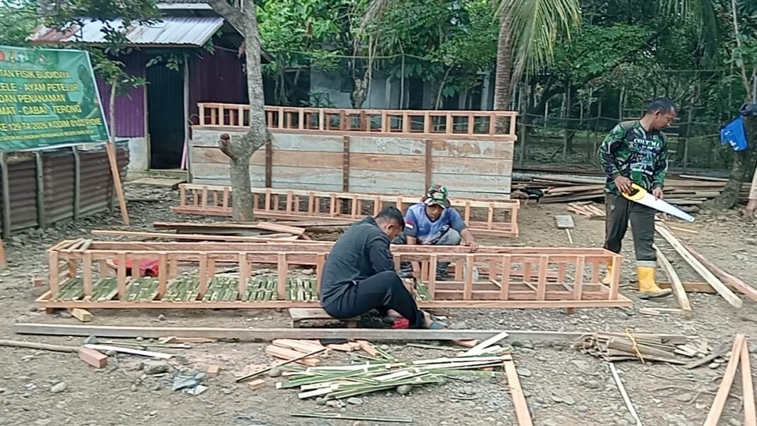 Pembangunan Kandang Ayam Petelur dari TMMD Kodim 0102/Pidie Dukung Usaha Mandiri Masyarakat
