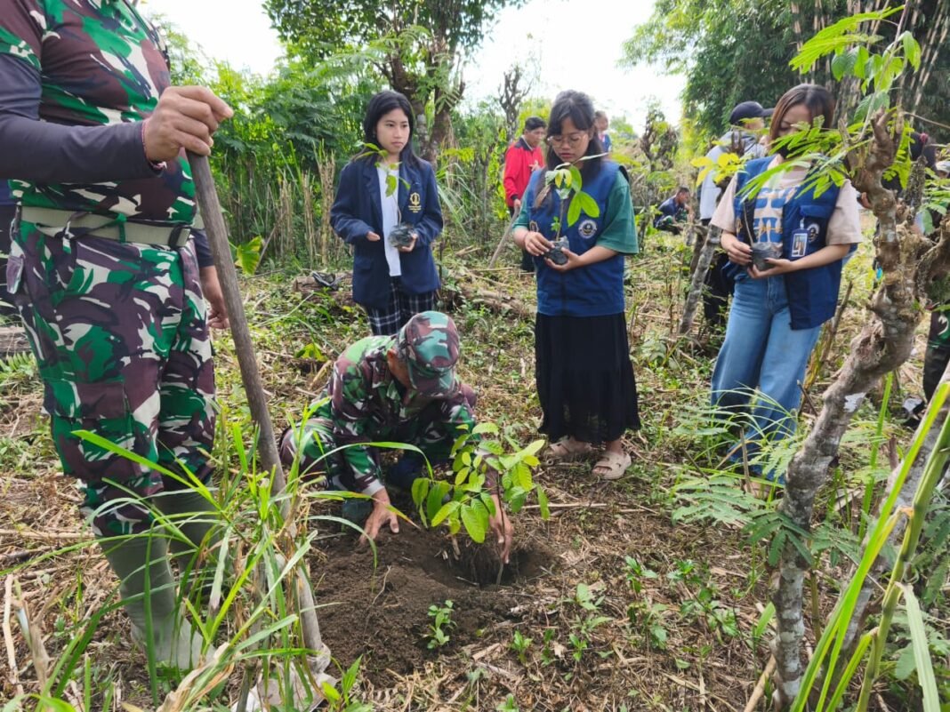Satgas TMMD Gelar Penghijauan dengan Menanam 500 Pohon Mahoni