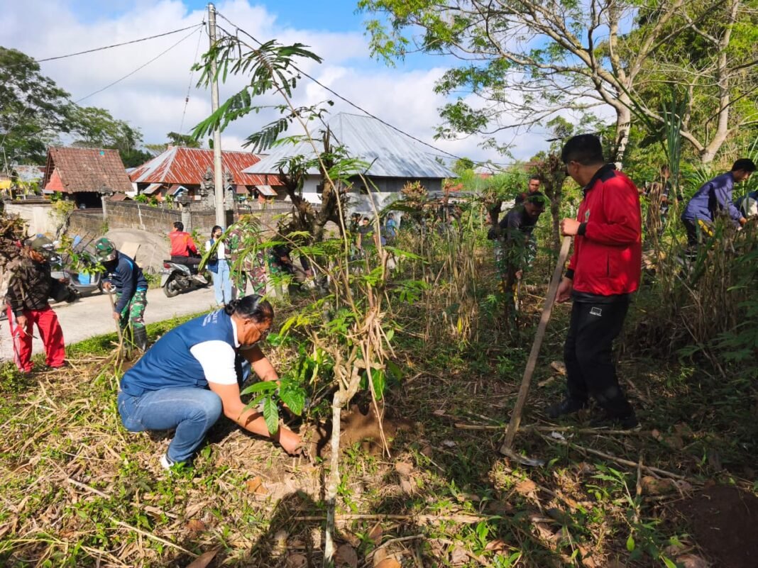 Penanaman Pohon Mahoni, Wilayah Bangli Semakin Hijau