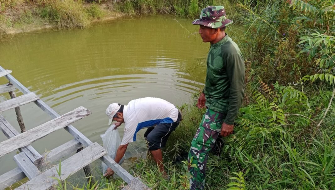 Satgas TMMD ke-129: Bibit Ikan untuk Meningkatkan Ekonomi Desa
