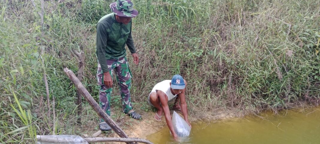 Bantuan Bibit Ikan Satgas TMMD ke-129: Mendorong Ketahanan Pangan di Wilayah Desa