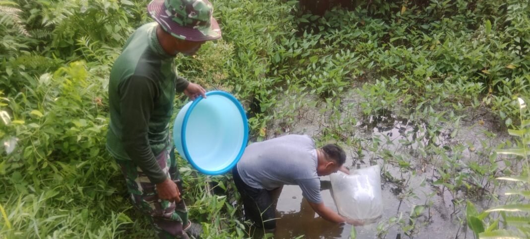 TMMD Ke-129: Membangun Ekonomi dan Pemberdayaan Melalui Budidaya Ikan
