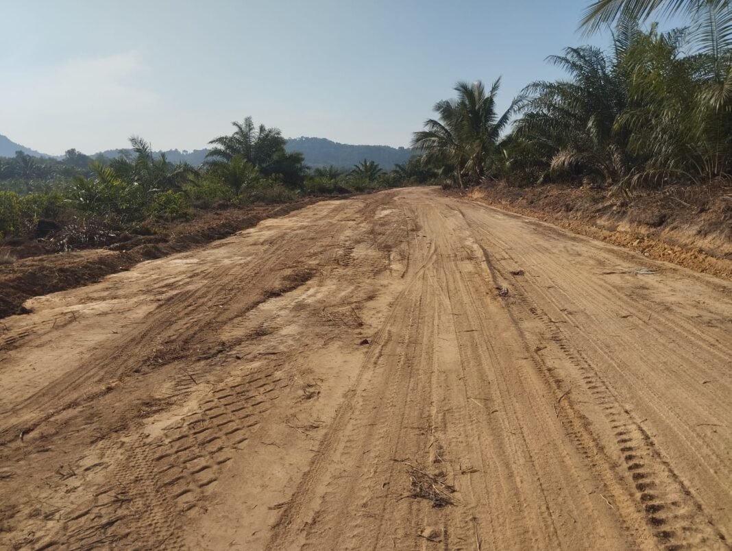 Dari Sempit ke Lebar, Jalan Desa Deniang-Penyamun Kini Berubah