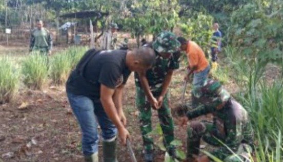 Dari Lahan Menganggur Menjadi Kebun Produktif Berkat Satgas TMMD di Pidie