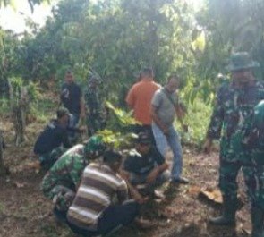 Penanaman Tanaman Produktif dalam TMMD untuk Kemandirian Pangan