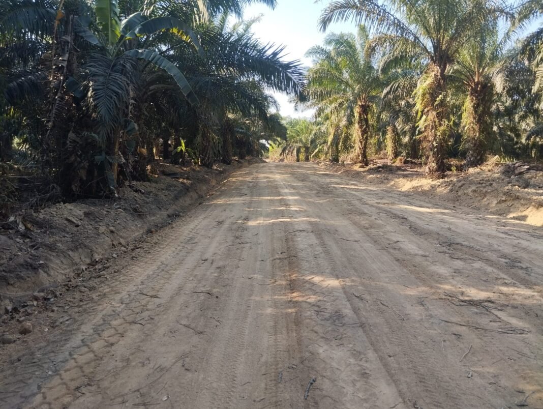 Pembukaan Jalan Deniang-Penyamun Rampung, Akses Warga Semakin Baik