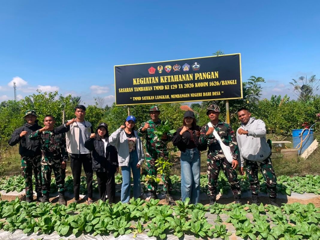 Kemandirian Pangan Melalui Budidaya Pakcoy TMMD Kodim Bangli