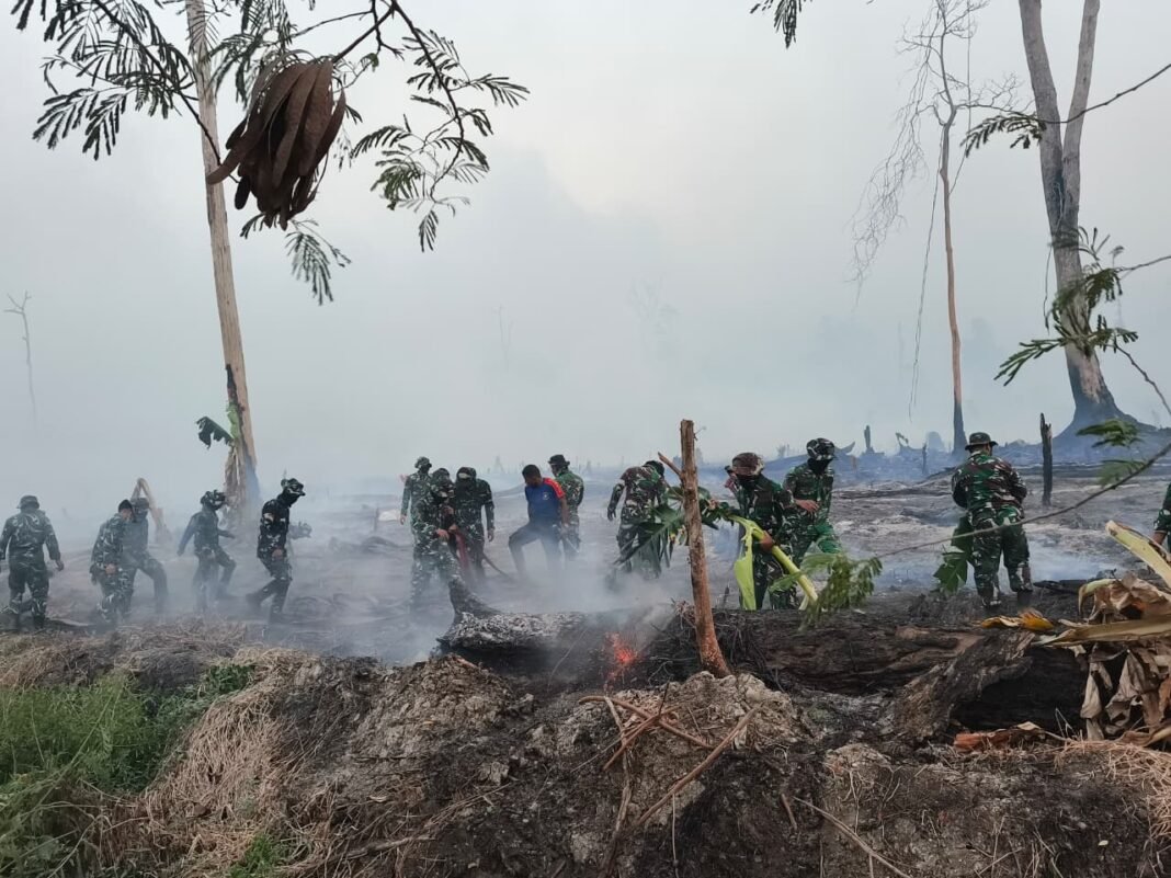 Tindakan Sigap TNI, BPBD, dan Damkar dalam Kebakaran Lahan di Nabire