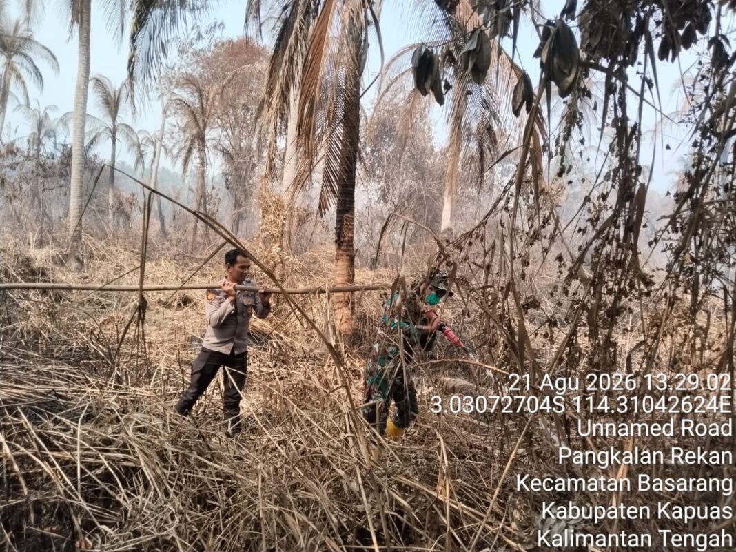 Respon Cepat Satgas Karhutla Kodim 1011/Kuala Kapuas Atasi Kebakaran Gambut