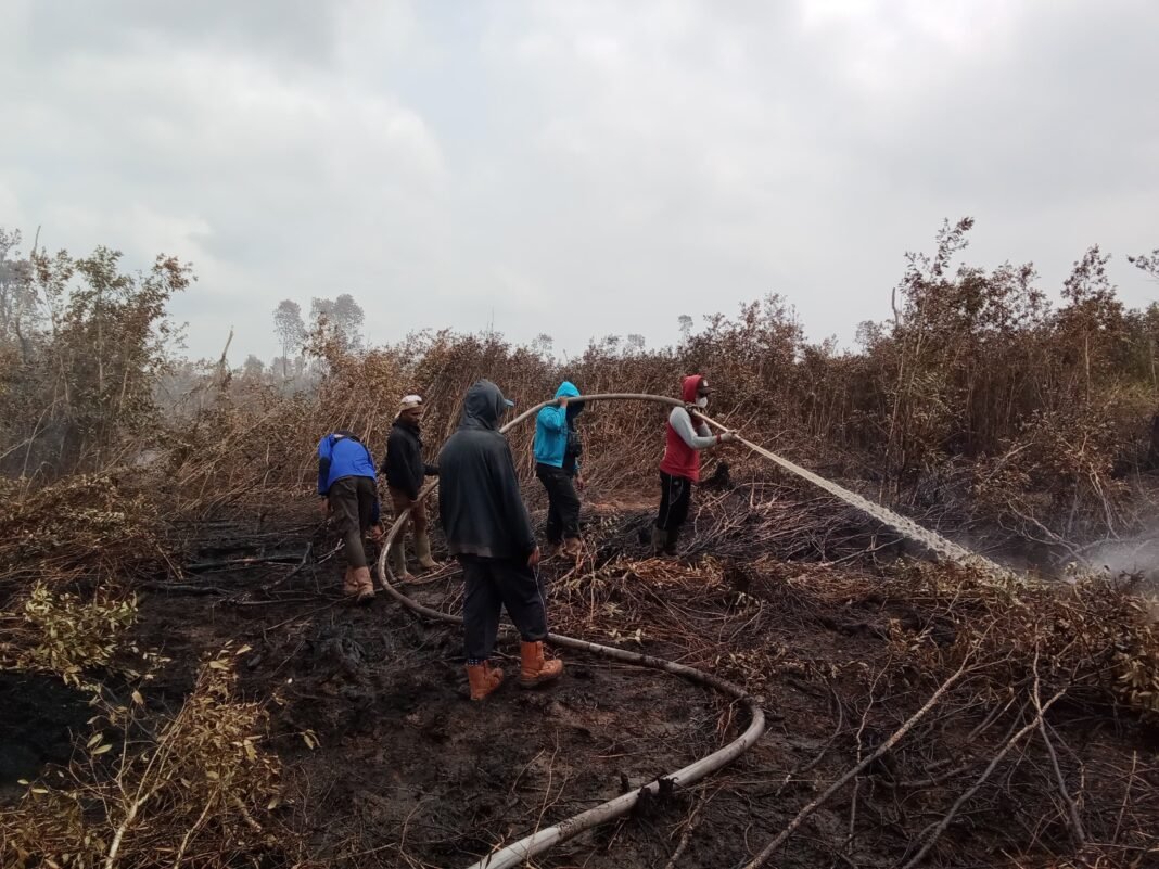 Kinerja Tim Dalkarhutla Dalam Memadamkan Karhutla di Pulang Pisau