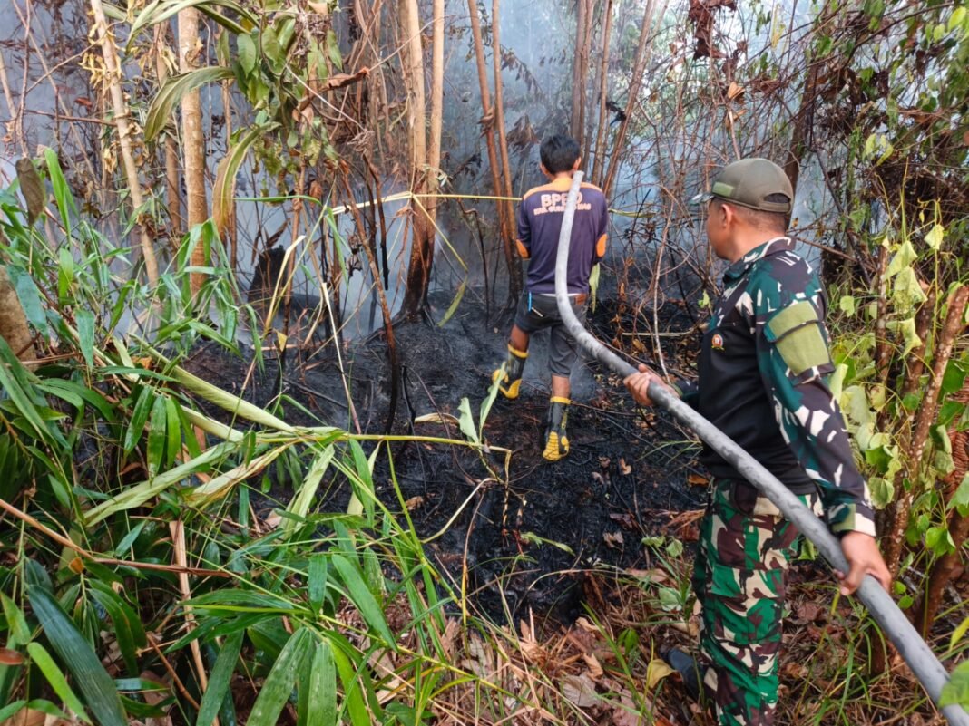 Kerjasama TNI-Polri dan BPBD dalam Melawan Karhutla di Gunung Mas