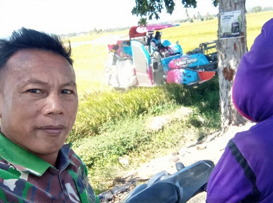 Babinsa Pantau Harga Gabah dan Luas Tambah Tanam di Lahan Petani Desa Dongi